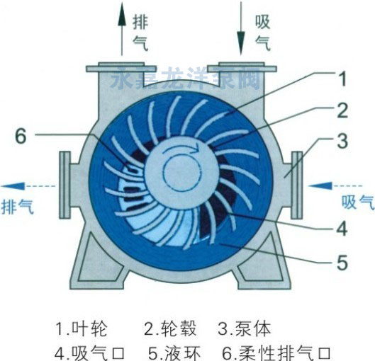 2BE系列水環(huán)式真空泵結構示意圖